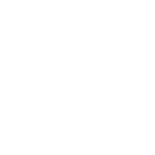 Icon Css
