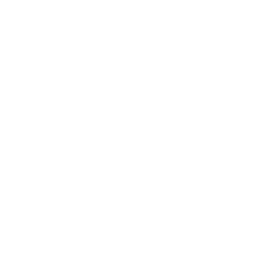 Icon WordPress